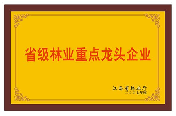 中國板材十大品牌之省級林業(yè)重點(diǎn)龍頭企業(yè)